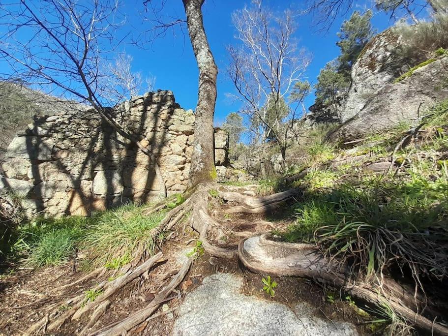 Estrela Da Serra Appartamento *